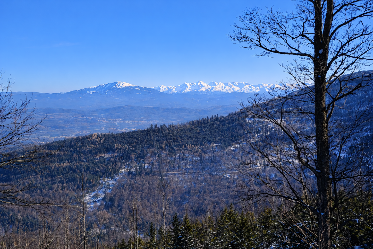 szyndzielnia widok na tatry